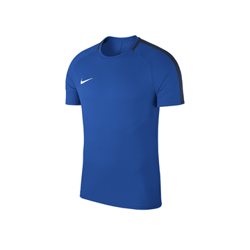 Nike Dry Academy 18 Mavi Erkek T-Shirt (893693 463)