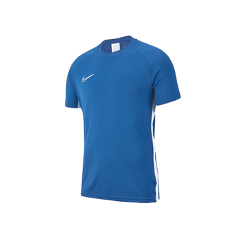Nike Academy 19 Erkek T-Shirt (AJ9088 404)