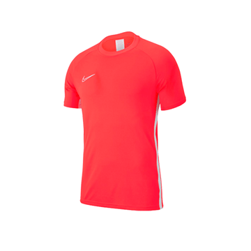 Nike Academy 19 Erkek T-Shirt (AJ9088 671)